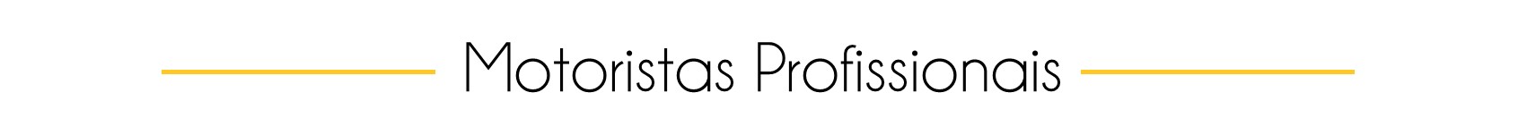 TRANSCAR - Transporte Executivo em Belo Horizonte (14).jpg