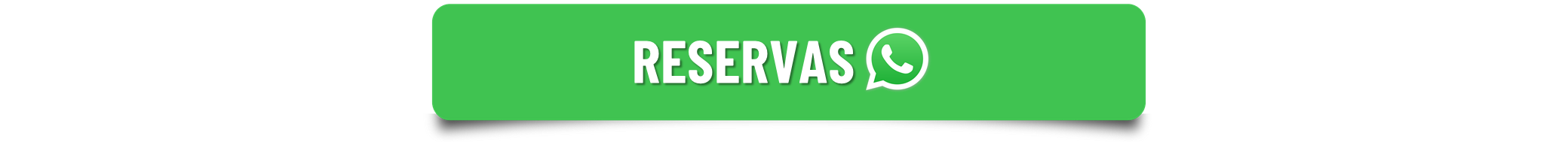 TRANSCAR - Transporte Executivo em Belo Horizonte lll.png