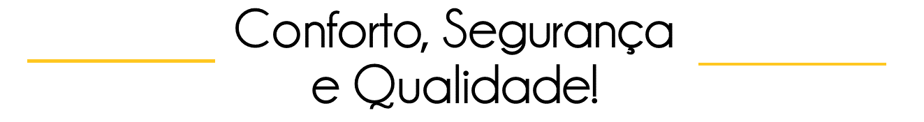 TRANSCAR - Transporte Executivo em Belo Horizonte (3).png
