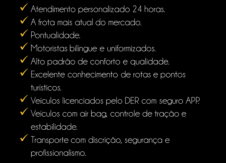 TRANSCAR - Transporte Executivo em Belo Horizonte (16).png